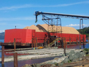 Campbell River Fibre Barge Loading Wood Chips